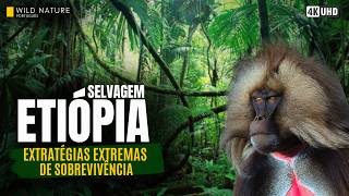 ETIÓPIA SELVAGEM — Estratégias Extremas de Sobrevivência | Documentário Animal