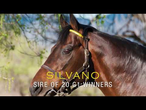 SILVANO CPYS 2019
