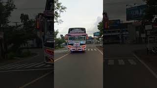 Download lagu story bus Teguh Muda 'Purple Style' goyang tipis' #buspariwisata mp3 Download lagu story bus Teguh Muda 'Purple Style' goyang tipis' #buspariwisata mp3