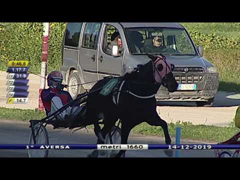 Aversa trotto 14 Dicembre 2019 - 1° Corsa