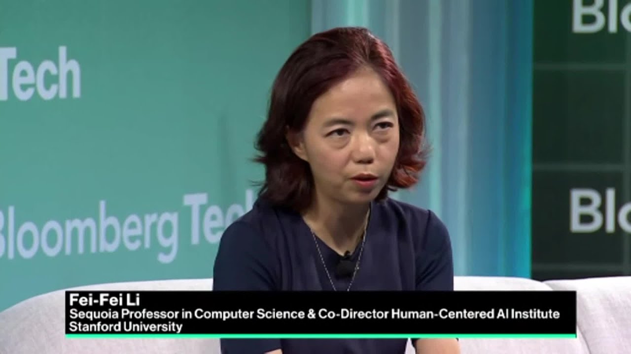 Top Researcher Li on the Promises and Perils of AI