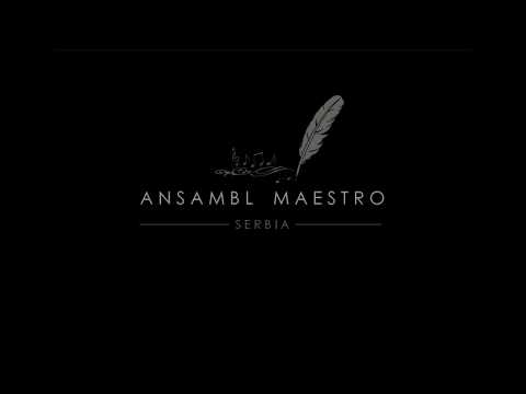 Ansambl Maestro - Splet melodija iz okoline Vranja