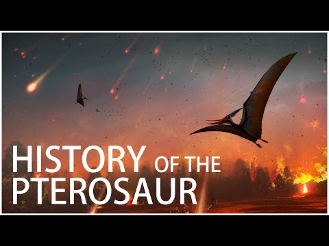 The History of The Pterosaur: When Flying Creatures Ruled The World | Dinosaur Documentary