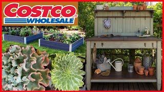 Costco SUCCULENT shopping POTTING Bench GARDEN Beds | Moody Blooms