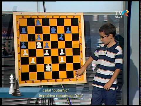 Emisiunea 148 Regi si Pioni - "Calul puternic impotriva nebunului "rau""