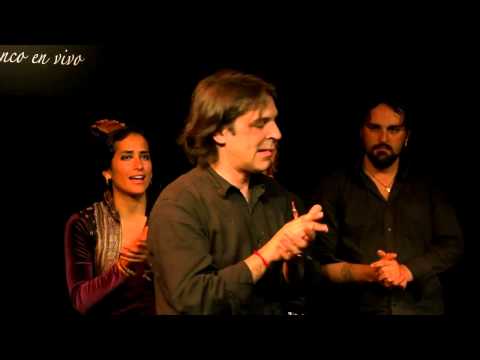 CASA PATAS EN VIVO 125   FIN DE FIESTA VI