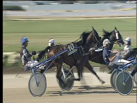 Trotto 18/05/2018 - 4ª corsa