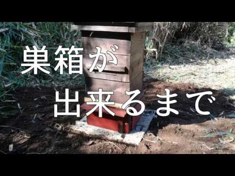 コマドリの巣箱を簡単に作る方法は？知っておくべきことはすべて！  庭園