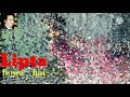 Phool Ka Shabab Kya Rafi Saab Song Status