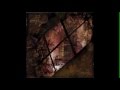 Thy Catafalque - The Sileni And Sylvans And Fauns ...
