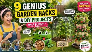 I Turned My Boring Backyard Into This (Budget Build) #diy #homedecor