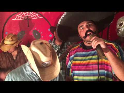 Another Brick in Donald's Wall (PINK FLOYD PARODY)