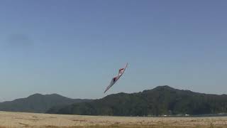141012 Sport Kite Flying-from Japan
