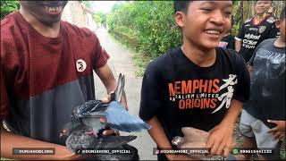 Download lagu BALAP MERPATI SERU SERUAN BARENG BOCIL mp3 Download lagu BALAP MERPATI SERU SERUAN BARENG BOCIL mp3