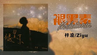 Download lagu [Vietsub/Pinyin] 褪黑素 / Melatonin - 梓渝 / Tử Du / Ziyu mp3