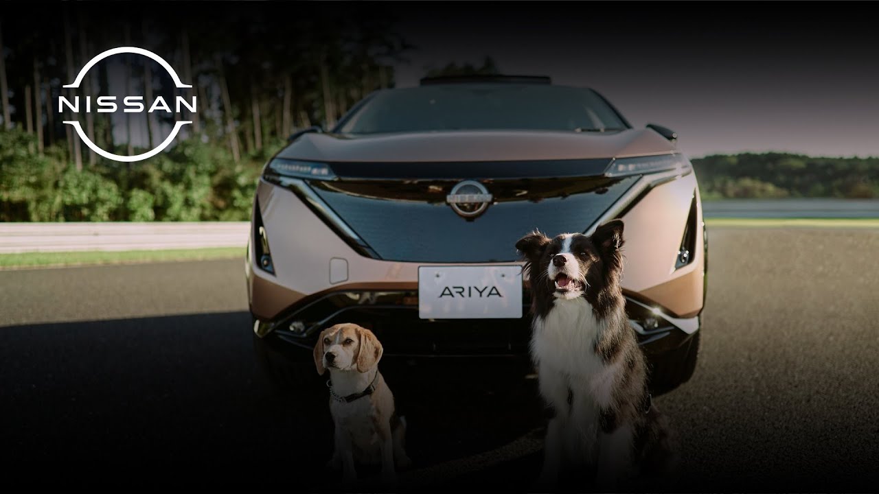 【 #日産ストーリーズ 】Dog’s Best Friend——「e-4ORCE」で人も愛犬も快適なドライブを