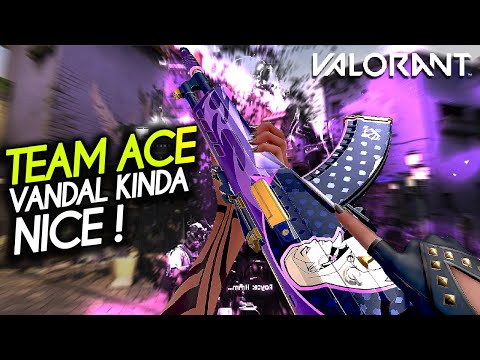 NEW "TEAM ACE" skins VANDAL KINDA NICE! | Valorant Highlights