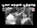 Poova Maramum Poothathe Song TMS ஜிக்கி பாடிய பாடல் பூவா ம