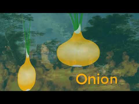 download lagu mp3 mp4 Dreaming Of Spring Onions, download lagu Dreaming Of Spring Onions gratis, unduh video klip Dreaming Of Spring Onions