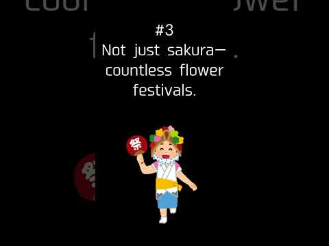 Why Japanese People Are Obsessed With the Four Seasons