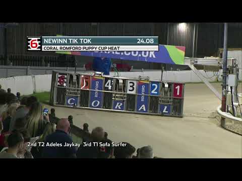2021 ROMFORD PUPPY CUP - HEAT 5 - T6 NEWINN TIK TOK