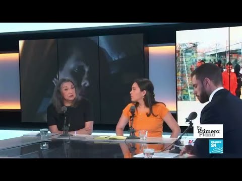 Las dificultades de la comunidad trans en Latinoamérica