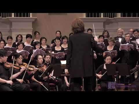 Vivaldi: Gloria, No. 7 Domine Fili unigenite