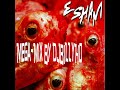 ESHAM Mega-Mix (Reduced & Mixed)