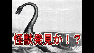 【ゆっくり実況】怪獣を釣りあげてスクープしろ！【MonsterFishing】【モンスターフィッシング】