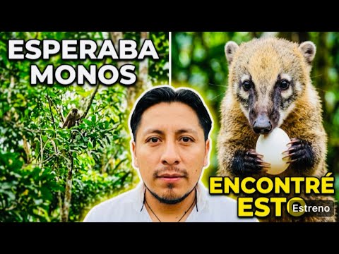 Fui por MONOS y me ENCONTRÉ con ESTO ¡Un Lugar que Quita el Estrés! | PUJILÍ ~ ECUADOR 🇪🇨