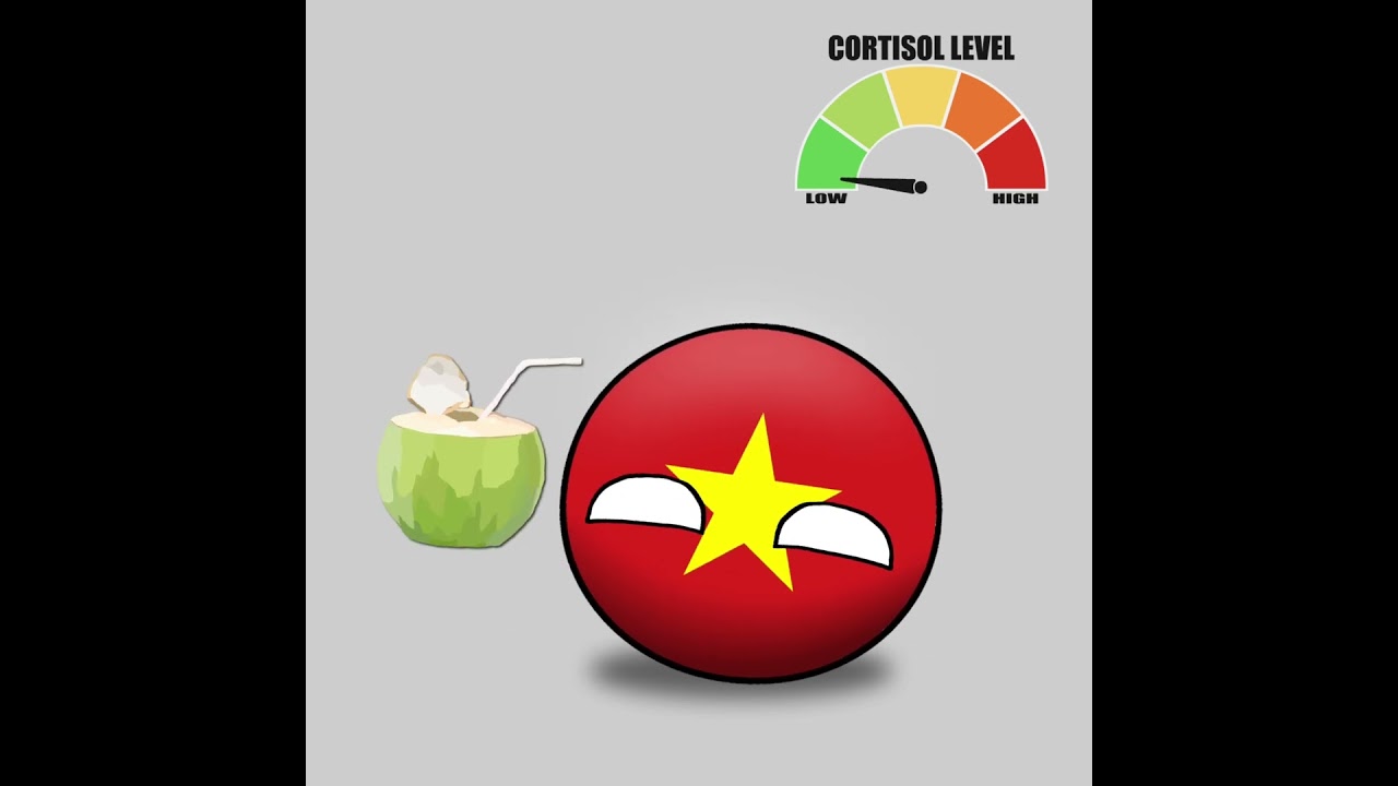 Cortisol level meme #countryballs