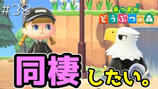 アポロとの同棲計画…！！#38【あつまれどうぶつの森 女性実況】