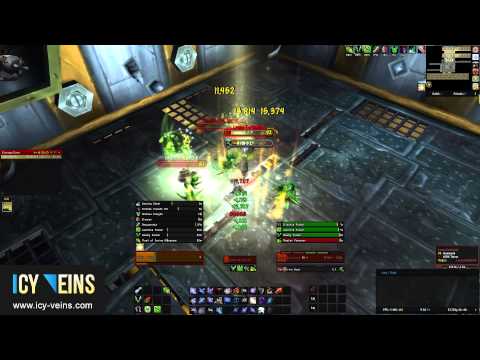 Brawler's Guild - Leona Earthwind (Special Challengers)