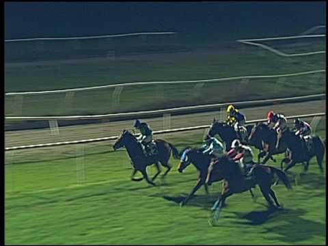 Galoppo 30/11/2016 - 6ª corsa