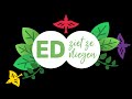 Ed Ziet Ze Vliegen #8: Op zoek naar de slangenarend