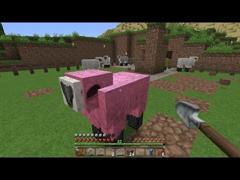 Minecraft #239 - Co Moderation und bunte Schafe