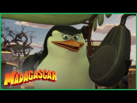 Capa de DreamWorks Madagascar em Português | Os melhores momentos Os Pinguins