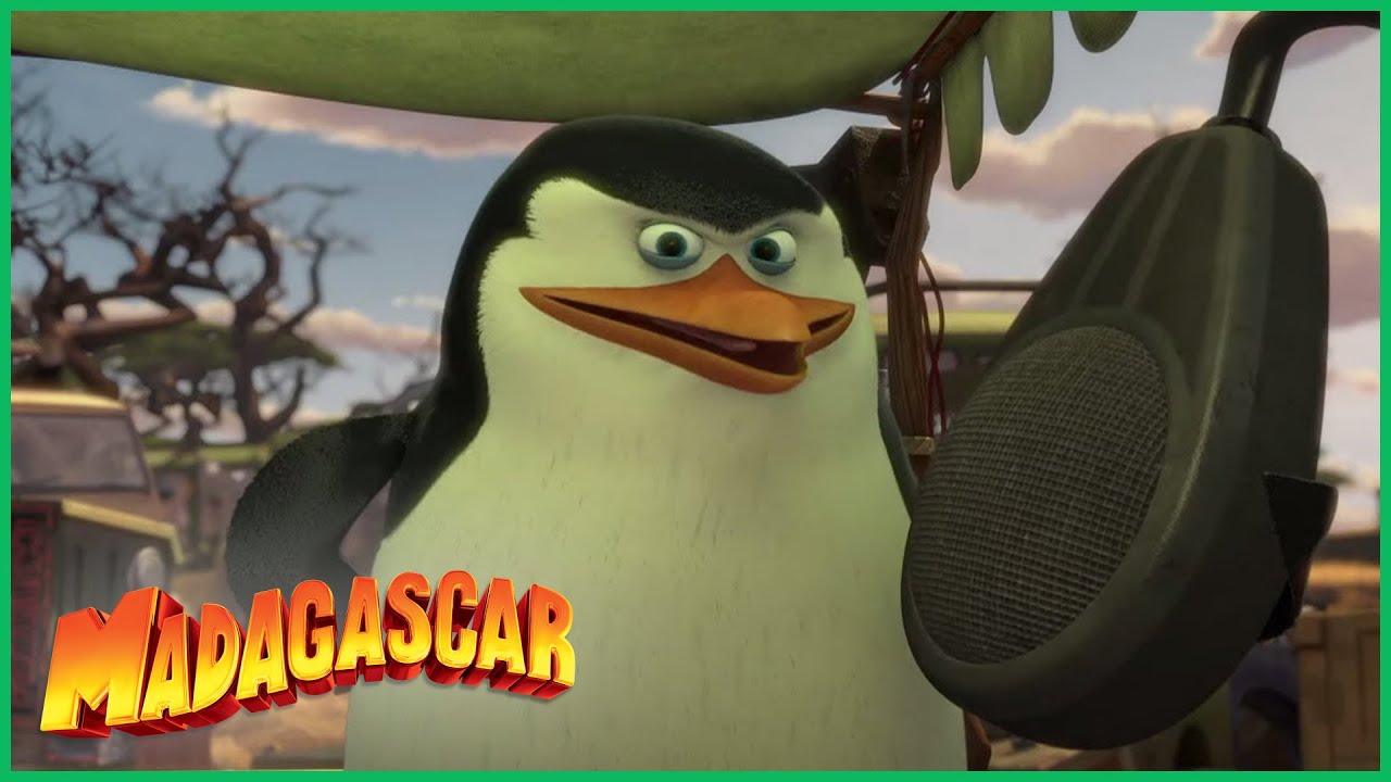 DreamWorks Madagascar em Português | Os melhores momentos Os Pinguins