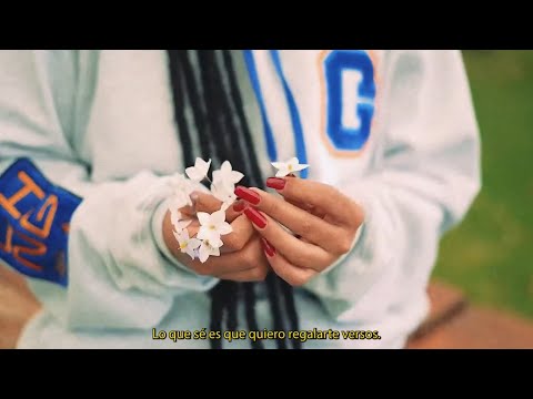 Gabylonia - Tu F**kin’ Canción (Visualizer)