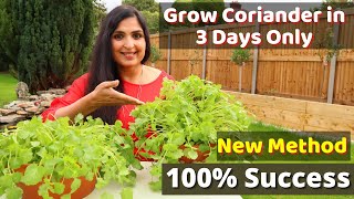 Fastest Coriander Growing Method / No one told you before / Cilantro Growing At Home  #cilantro #DIY