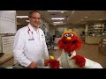 Sesame Street 4419 Endings