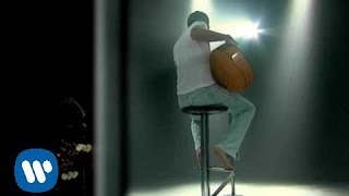 David de Maria - PETALOS MARCHITOS (video)