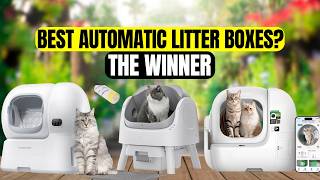 Top 5 Best Automatic Litter Boxes to Buy in 2026 (Clean Smar