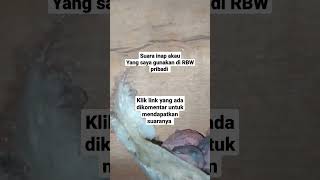 Download lagu SUARA INAP AKAU YANG SAYA GUNAKAN DI RBW PRIBADI SAYA mp3