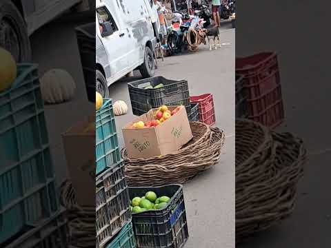 Feira livre da cidade de estrela de Alagoas