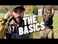 EASY OBEDIENCE TRAINING WITH MY BELGIAN MALINOIS PUPPY! HEEL/ SIT/ DOWN/ STAY!