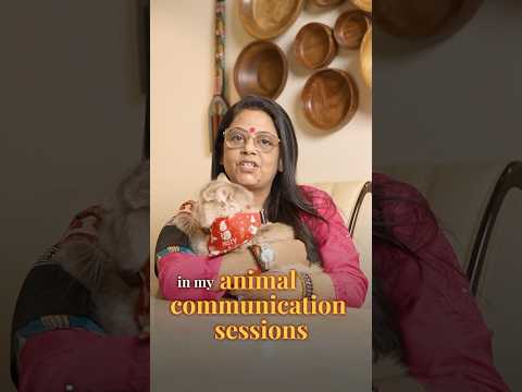 Answer your cat’s question day!