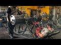 STANIMAL x SHAWN RHODEN: QUADS & ISCHIOS Psycho style