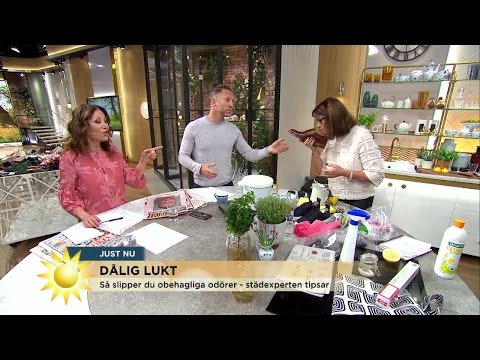 Städexperten tipsar: Så slipper du obehagliga lukter - Nyhetsmorgon (TV4)
