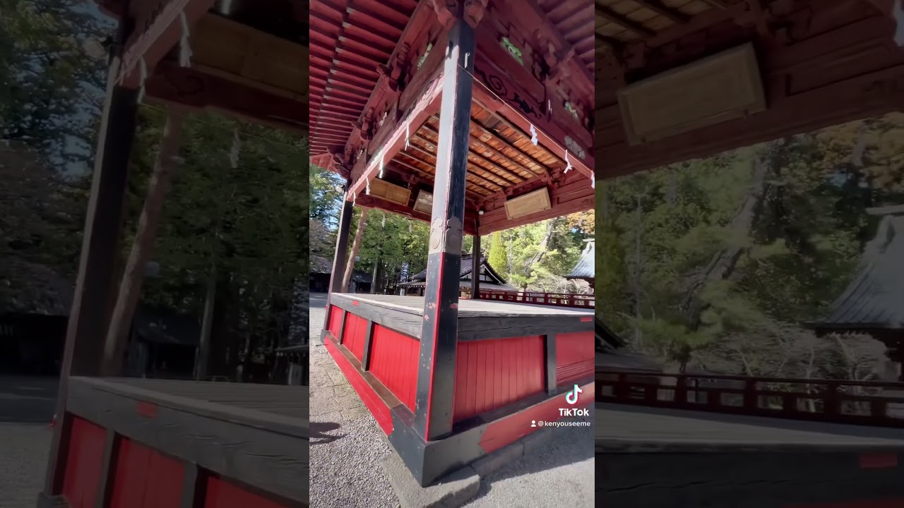 YouTube Short thumbnail